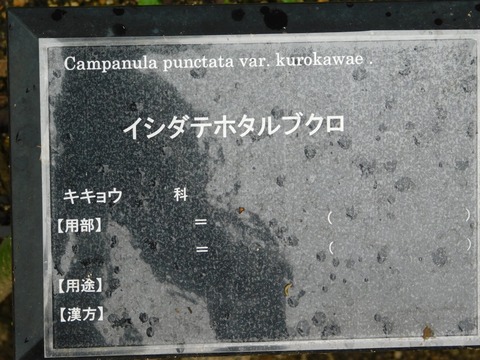 DSCN4324