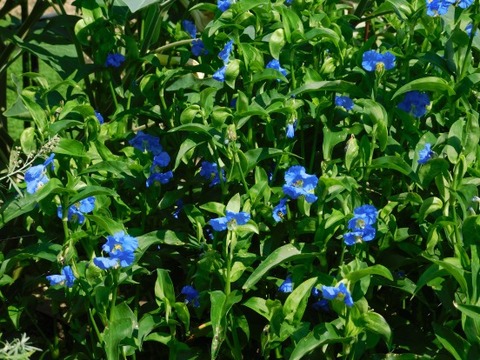 DSCN2191