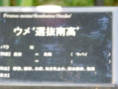 DSCN2008