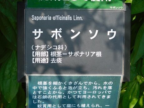 DSCN3144