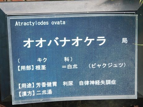 DSCN3813