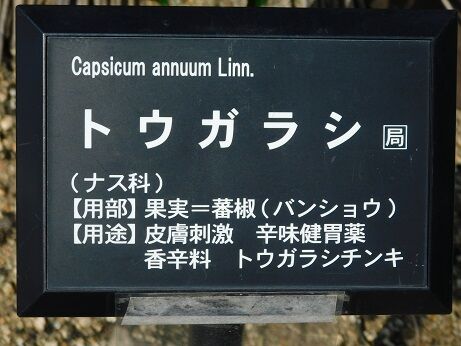 DSCN8460