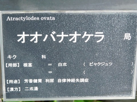 DSCN2767