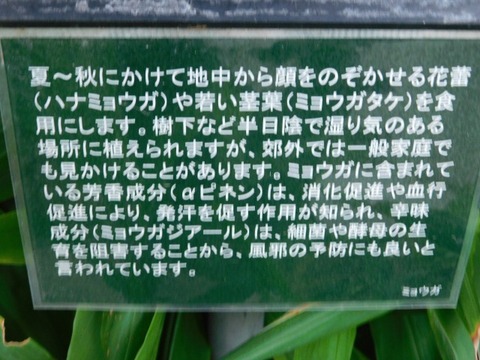 DSCN2740