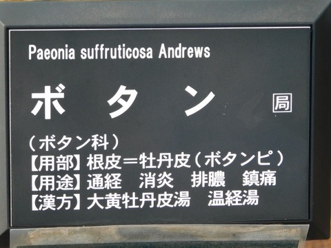 DSCN6320