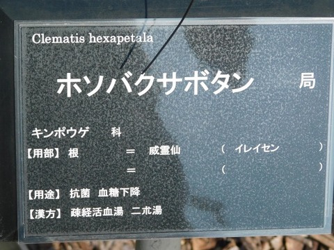 DSCN6557