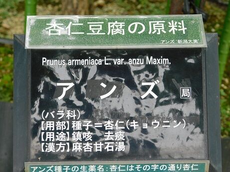 DSCN9629
