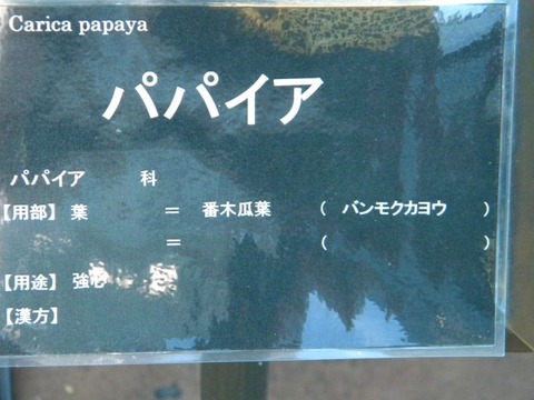 DSCN9851