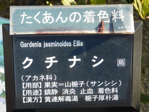 DSCN3502