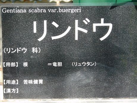 DSCN3881