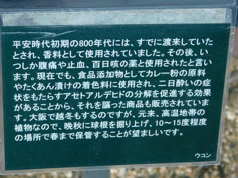 DSCN2561