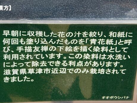 DSCN9891