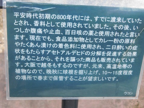 DSCN5064