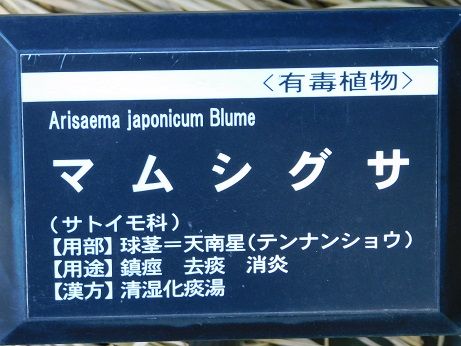 DSCN4830