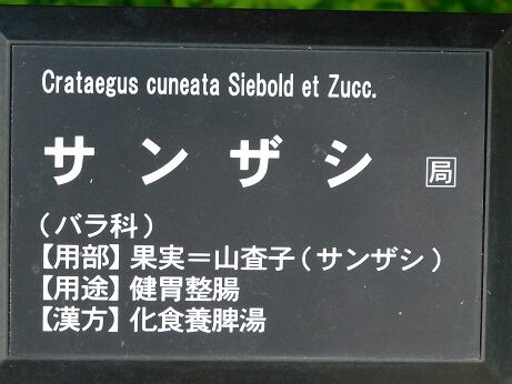 DSCN9723