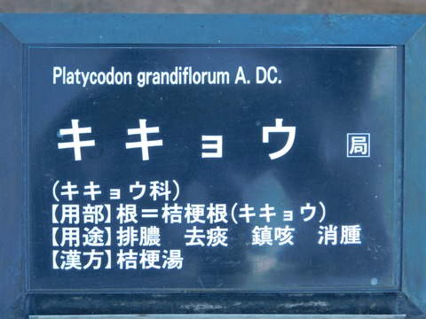 DSCN5511