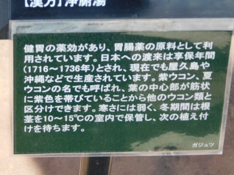 DSCN4223