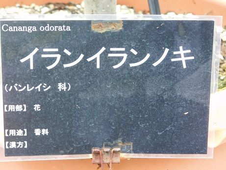 DSCN6035