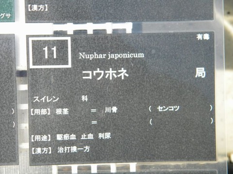 DSCN9950