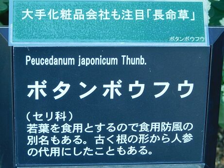 DSCN0057