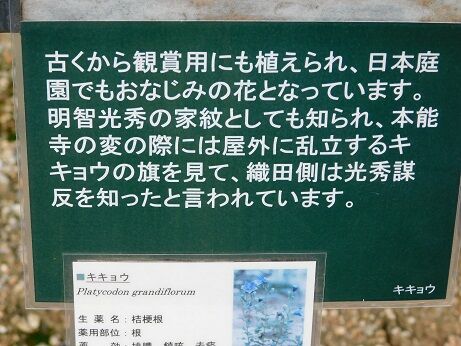 DSCN9819