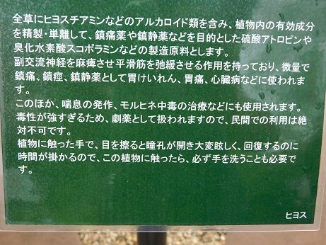 DSCN9598