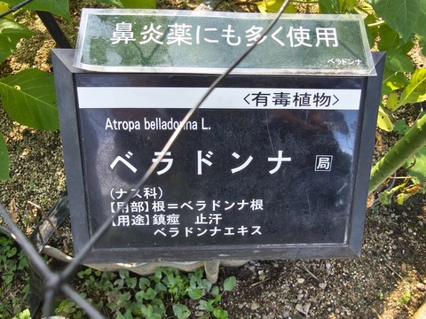 IMG_20260716_153807285_HDR