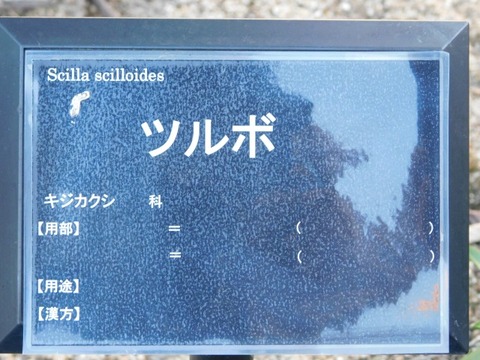 DSCN2710