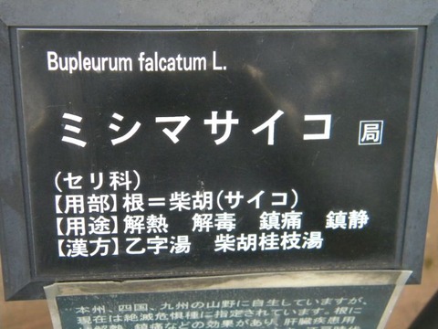 DSCN9680