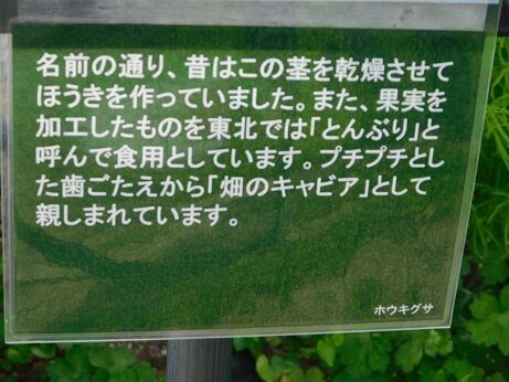 DSCN9718