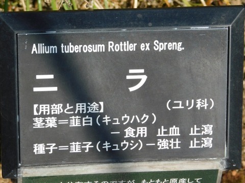 DSCN3361