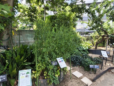 IMG_20260820_115331988_HDR
