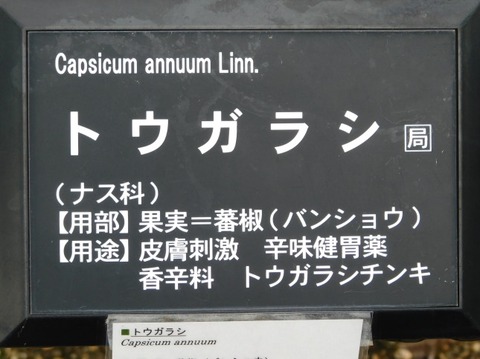 DSCN2620