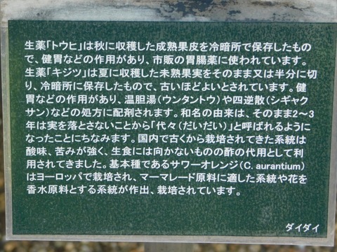DSCN5408