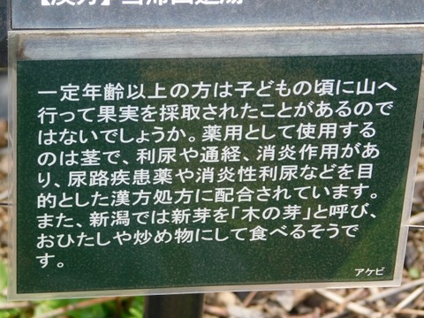 DSCN3722