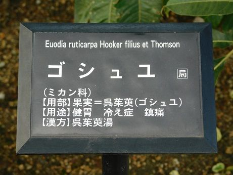DSCN4006