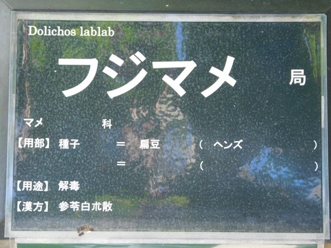 DSCN5395