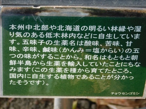 DSCN3326