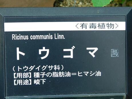 DSCN9941