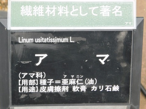 DSCN6433