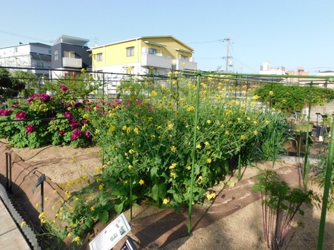 DSCN3840