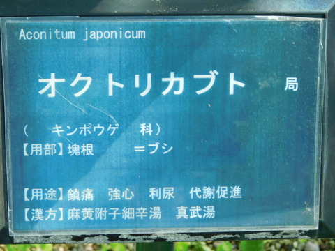 DSCN0125