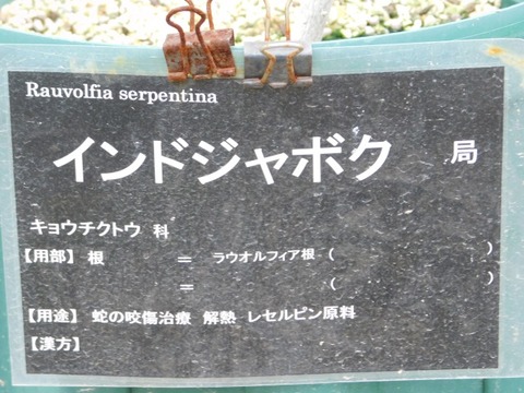 DSCN6814
