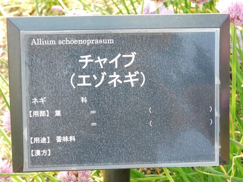 DSCN3941
