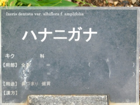 DSCN6522