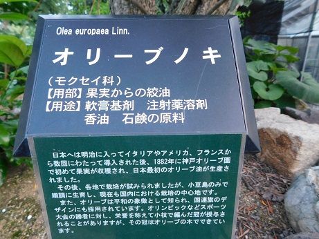 DSCN3325
