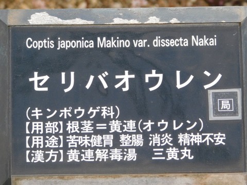 DSCN3561