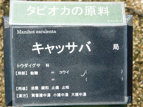 DSCN2678