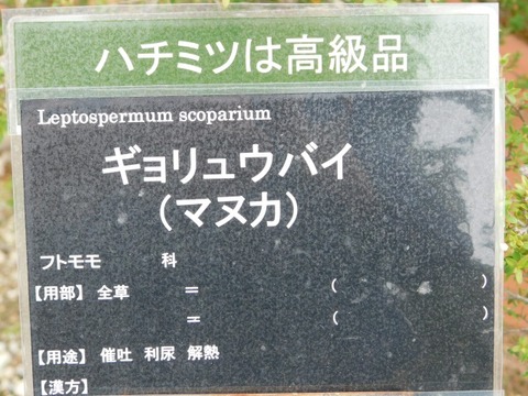 DSCN6751