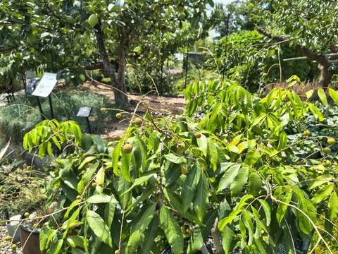 IMG_20260820_114708163_HDR